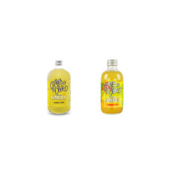 Kombucha