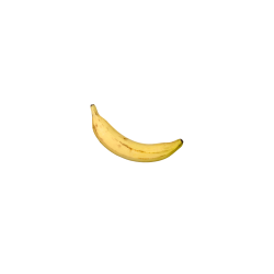 Piece of fruit
